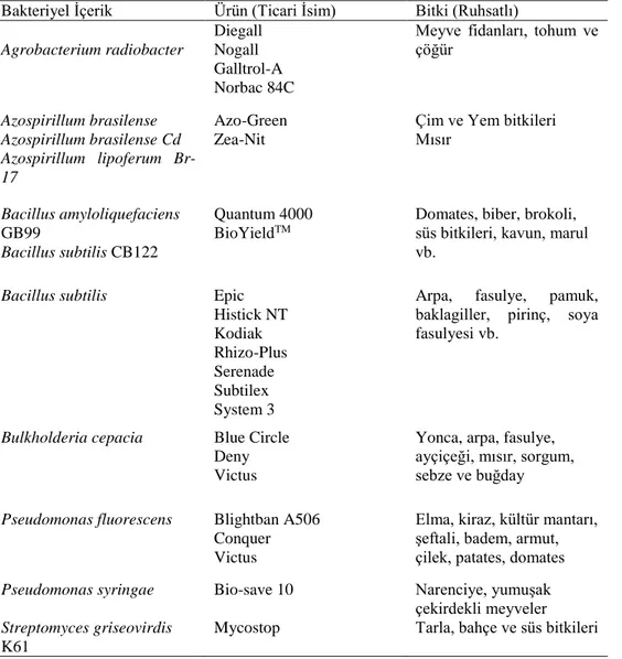 Çizelge 2.2. PGPR bakterilerini içeren ticari ürünler (Chet ve Chernin 2002, Glick vd  1999) 