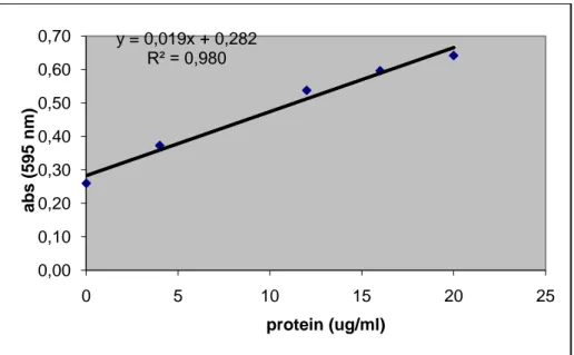 Şekil 3. 5 KC Dokusu Protein Miktarı Standart Grafiği 