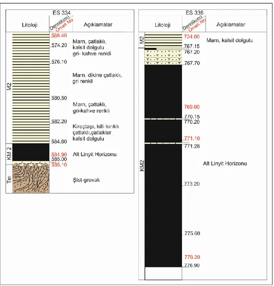 Şekil 4.5. ES334 ve ES338 no’lu sondajların KM2 damarına ait dikme kesitleri 