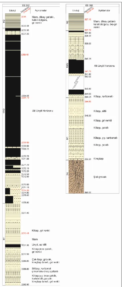Şekil 4.8. ES352 ve ES359 no’lu sondajların KM2 damarına ait dikme kesitleri 