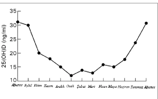 Şekil 2.1. Mevsimsel serum 25(OH)D seviyeleri (6) 