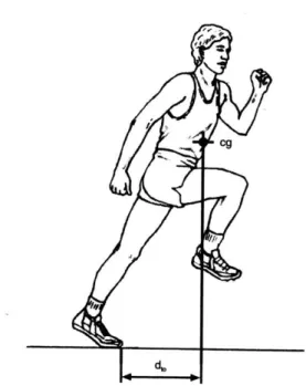 Şekil  2 .8.  Bir sprinterin sıçrama mesafesi; sıçrama ayağının parmak ucu ile ağırlık merkezi  arasında kalan yatay mesafe