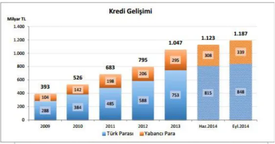 Şekil 2.10 Türk Bnkacılık Sktöründe Kredilerin Gelişimi 