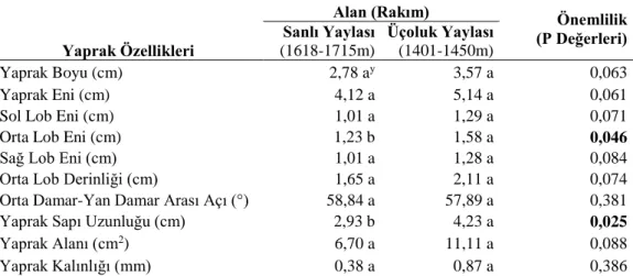 Çizelge 4.33. A. monspessulanum subsp. monspessulanum populasyonlarında alanların  (rakımın) yaprak özellikleri üzerine etkisi 