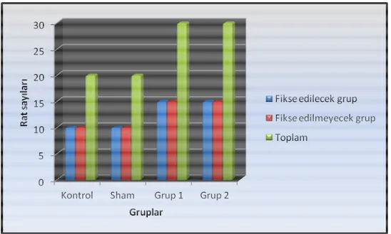 Tablo 3.1.2. Rat sayılarının gruplara göre grafiği. 