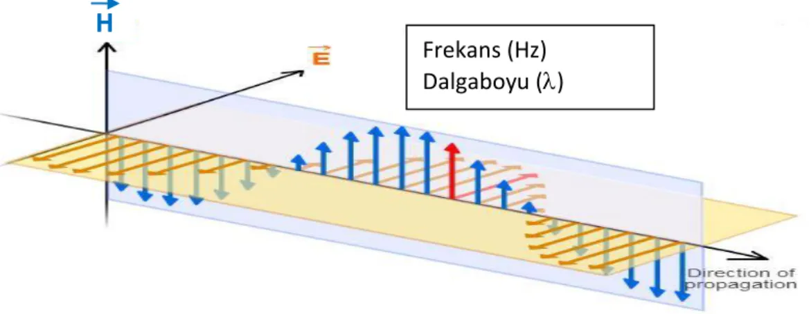 Şekil 2.2.  Elektromanyetik dalga; elektrik ve manyetik alan bileşenleri (E: Elektrik alan, H: Manyetik       alan)  Frekans (Hz)  Dalgaboyu () H  Hegzagonal hücre Baz istasyonu Cep Telefonları  Radyo sinyalleri 