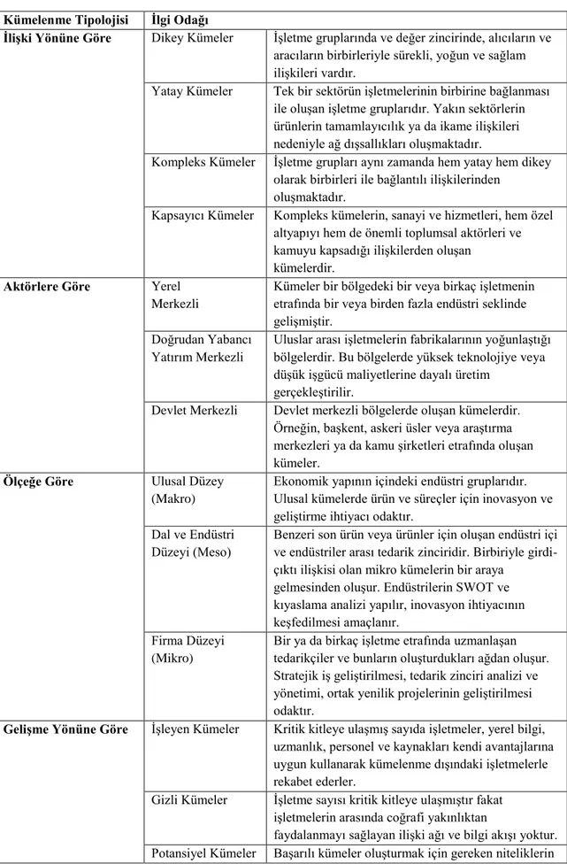 Tablo 2.1 Küme Tipolojisi 