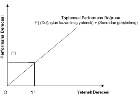 Şekil 2.6 Performansın Yetenekle İlişkili Doğrusal Fonksiyonu  Kaynak: Kaynak, 1990:161 
