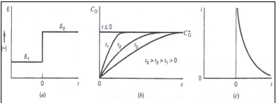 Şekil 1.29. a) Kronoamperometrik potansiyel uyarma sinyali, b) konsantrasyon                     gradiyentleri ve c) akım zaman eğrisi 