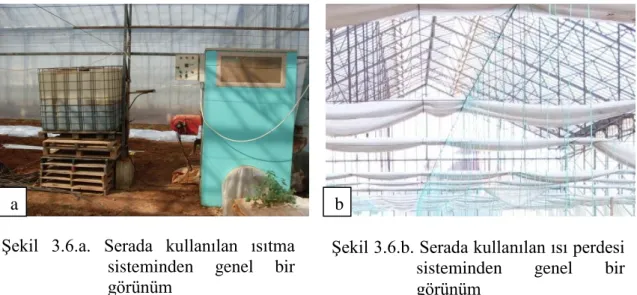 Şekil 3.6.b. Serada kullanılan ısı perdesi  sisteminden  genel  bir  görünüm 
