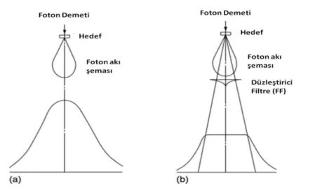 Şekil 2.9. Lineer hızlandırıcıda foton demeti için (a) FFF’in doz dağılım profili üzerine      etkisi (b) FF’in doz dağılım profili üzerine etkisinin şematik göstergesi 