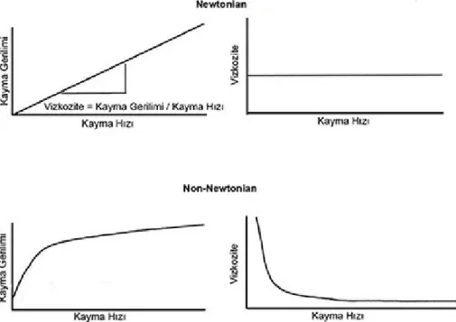 Şekil 2.1.: Newtonian ve non-Newtonian sıvılar için kayma gerilimi-kayma hızı ve viskozite-  kayma hızı arasındaki ilişkiler (kaynak 140’dan alınmıştır)