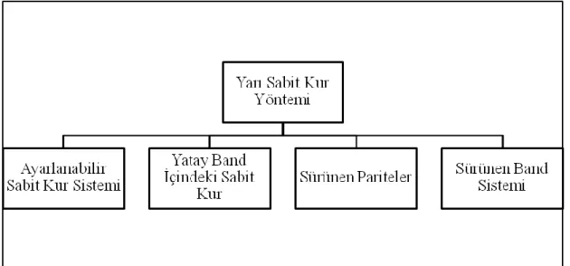 Şekil 1.7 Yarı Sabit Kur Yönteminin Çeşitleri 