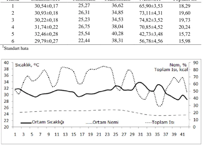 Çizelge 4.2.’ de ve Şekil 4.1’de deneme ortamının haftalık olarak sıcaklık, nem  ölçümleri  ile  bunlardan  hesaplanan  toplam  ısı  değerleri  verilmiştir