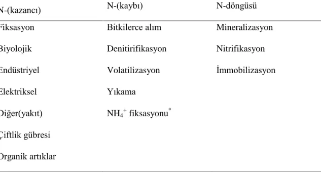 Çizelge  2.2  Toprak-bitki-atmosfer  sisteminde  temel  N  döngüsü,  N  girdileri  ve  N  çıktıları (Tisdale vd 1993)