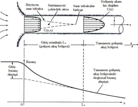 Şekil 2.2. Kanal akışının girişindeki basınç ve hız dağılımının değişimi (White 2005) 