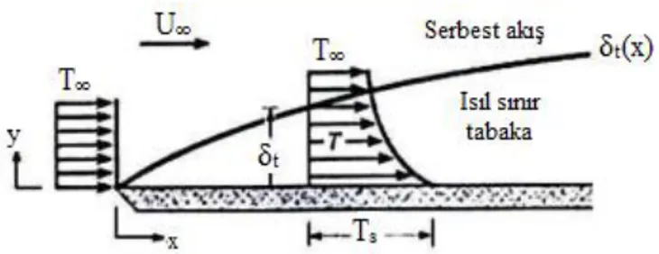 Şekil 2.4. Sabit sıcaklıktaki düz levha üzerinde ısıl sınır tabakanın gelişimi  (Incropera ve DeWitt 2006)