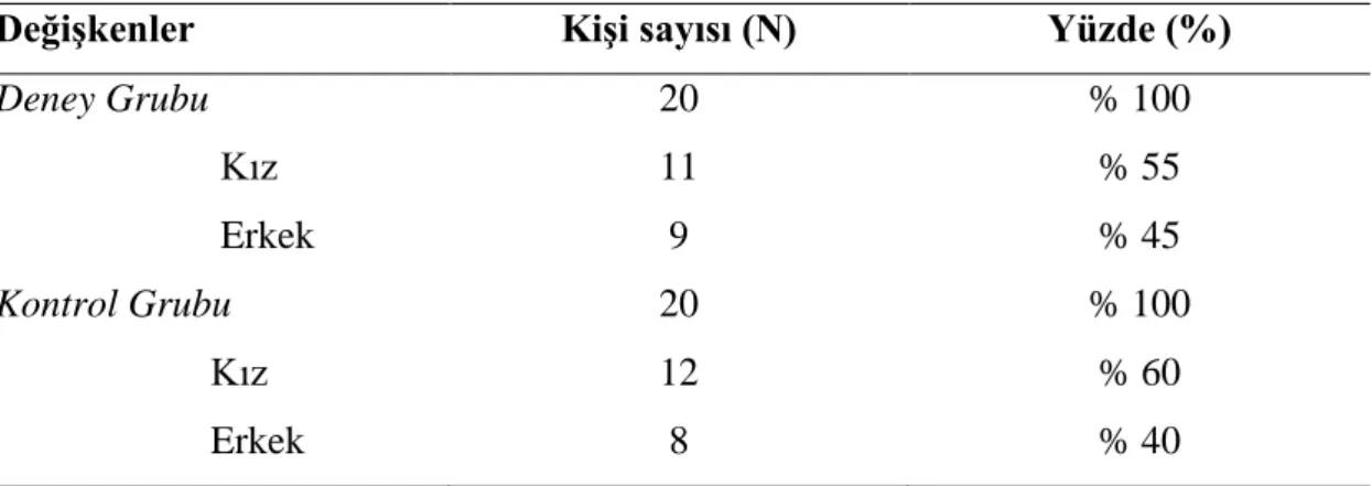 Tablo 3.1 Araştırma Grubuna Ait Bilgiler 