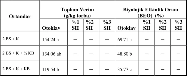 Çizelge  4.3.  Farklı  ortam  ve  dezenfeksiyon  uygulamalarının  kayın  mantarında  toplam  verim miktarları (g/kg torba) ve biyolojik etkinlik oranları (%) 