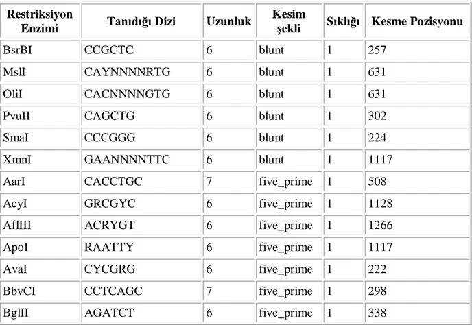 Çizelge 4.3.  İnsan TNFR1 cDNA’sının “Restriction Mapper” programına göre belirlenen Restriksiyon Enzim              Kesim Profili ve fragman uzunlukları 