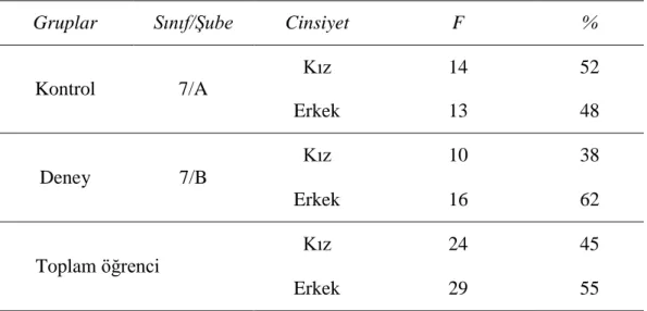 Tablo 3.3 Öğrenci Grubunun Kız ve Erkek Dağılımı 