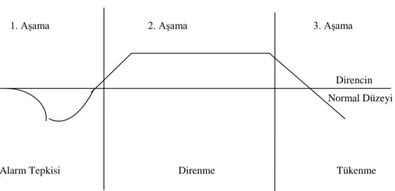 Şekil 2.1. Selye’nin Genel Uyum Sendromu 