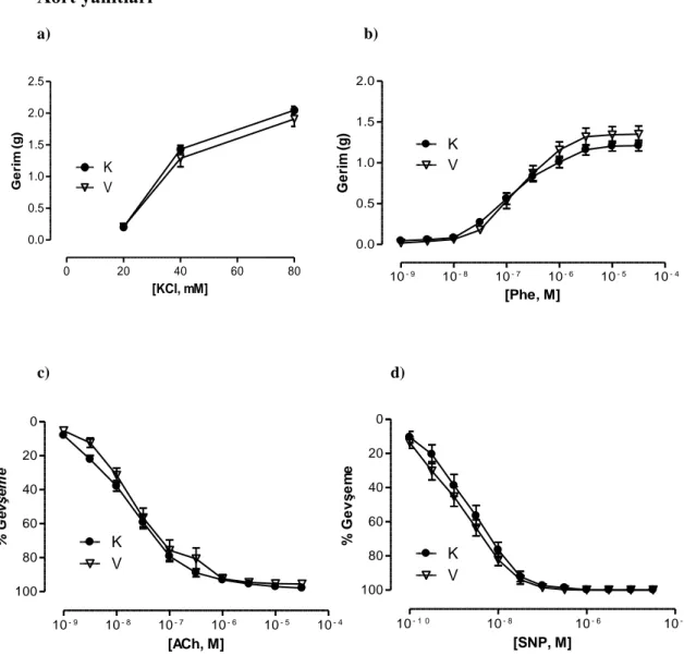 ġekil 4.9. Aortik halkaların a) KCl ve b) Phe aracılı kasılma, c) ACh ve d) SNP aracılı gevşeme doz  yanıt eğrileri 