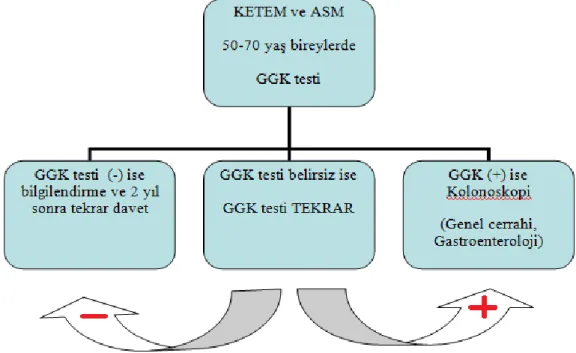 Şekil 2.6. ASM ve KETEM'lerde GGK testi akış şeması    