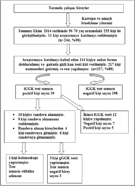 Şekil 3.2. Araştırma Planı 