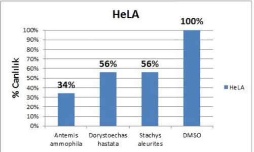 Şekil 4.2.HeLA hücre hattında bitki ekstelerinin % Canlılık Oranları 