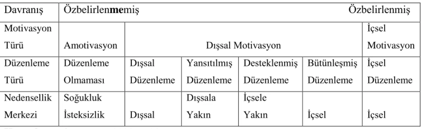 Tablo 2.1 Self Determinasyonun Aşamaları ve Nedensellik Merkezi 