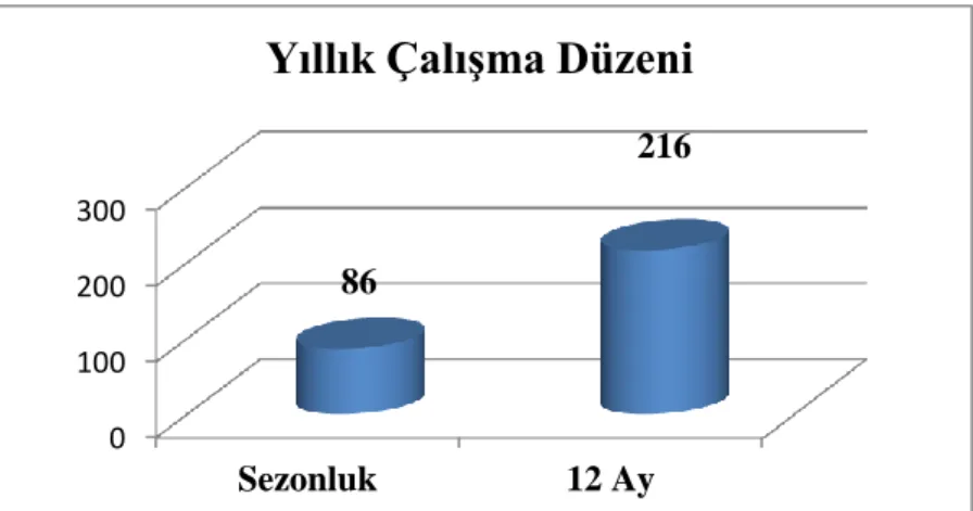 Grafik 4.8 Otel İşletmeleri Yöneticilerinin Yıllık Çalışma Düzenine Göre Dağılımı 