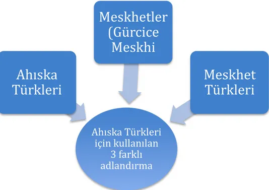 Şekil 3.2 Ahıska Türklerini Tanımlamak İçin Kullanılan Üç Farklı Terim 