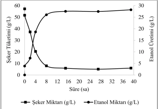 Şekil 4.2. SH-SF-YE-BA-SALTS kullanılarak gerçekleştirilen fermentasyona ait şeker  tüketim ve etanol üretim grafiği 