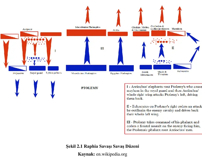 Şekil 2.1 Raphia Savaşı Savaş Düzeni   Kaynak: en.wikipedia.org 