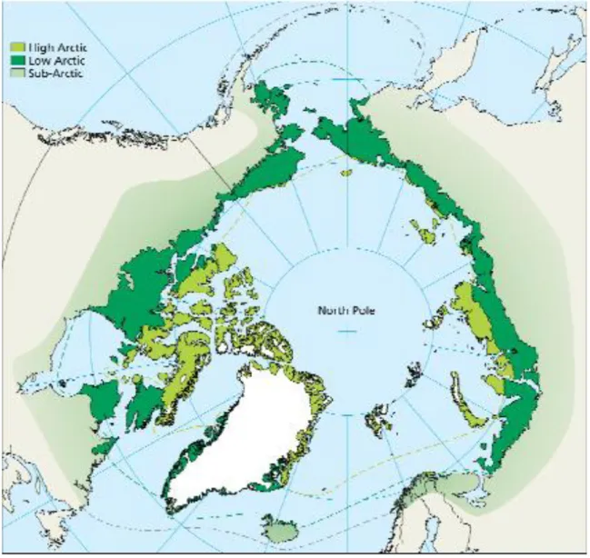 Şekil 3.5 Arktika'nın Alt Bölgeleri (CAFF, 2009)                                                             