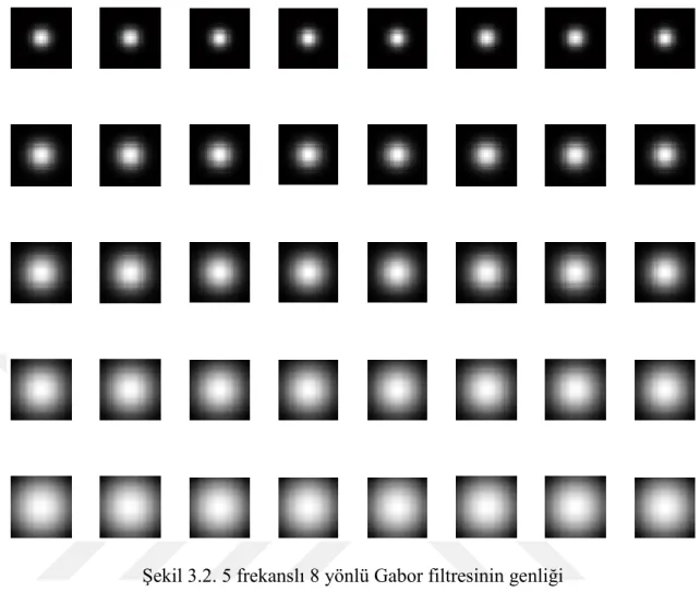 Şekil 3.2. 5 frekanslı 8 yönlü Gabor filtresinin genliği 