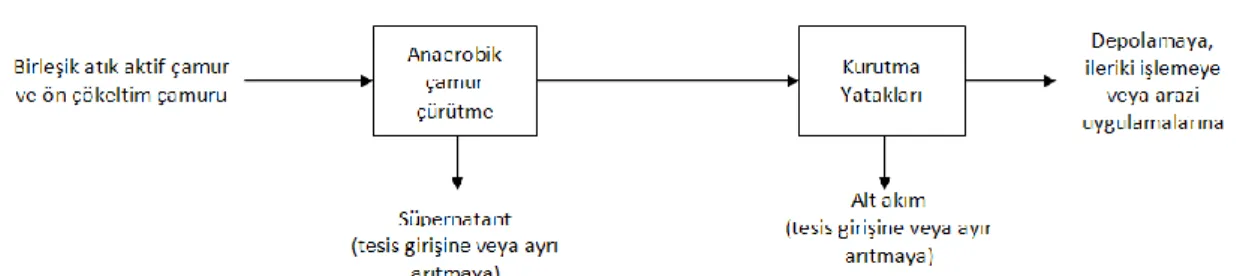 ġekil  2.2.  Biyolojik  çürütme  ve  üç  farklı  çamur  susuzlaĢtırma  iĢlemi  için  tipik  çamur  arıtma  diyagramı