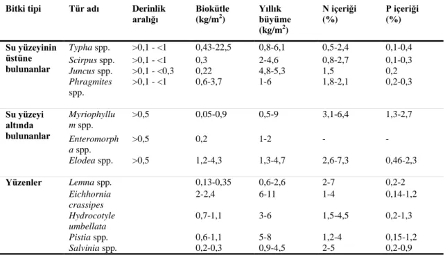 Çizelge  2.9.  Yapay  sulak  alanlarda  bulunan  makrofit  türleri,  tipik  su  derinlikleri  ve  özellikleri (Anonim-V 1999) 