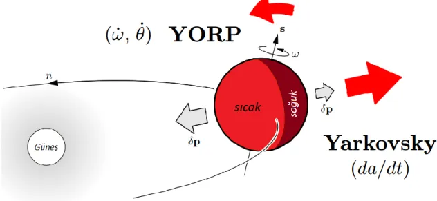 ġekil 2.5. Yarkovsky ve YORP etkisi (Broz 2006) 