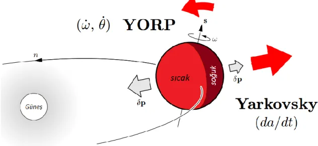 ġekil 2.5. Yarkovsky ve YORP etkisi (Broz 2006) 