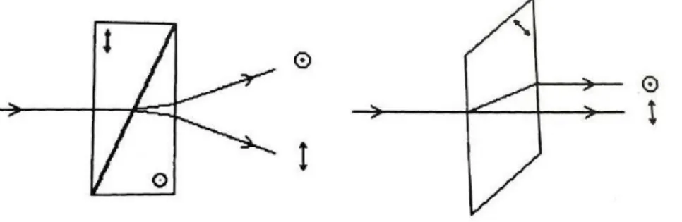 Şekil  3.4  gelen  ışının  bir  Wollaston  polarizörü  ile  açısal  bölünmesi  (solda)  ve  Kalsit  tarafından  çizgisel  bölünmesi  (sağda)  (Leroy  2000)
