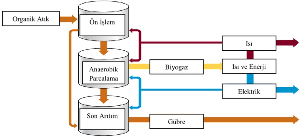 Şekil 2.5. Anaerobik ayrıştırma prosesi akım şeması (WRAP 2011)  