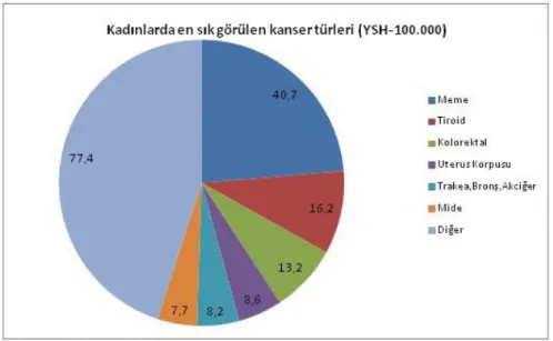 Şekil  2.1.  Türkiye’de  kadınlar  arasında  en  sık  görülen  kanser  türleri  ve  miktarları  (Sağlık Bakanlığı 2006)  