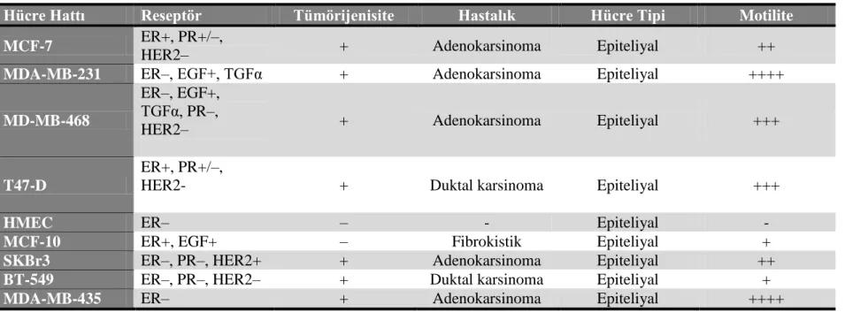 Çizelge 3.1. Çalışma kapsamında kullanılan hücrelerin genel özellikleri (Holliday ve Speirs 2011)  