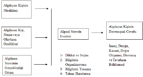 Şekil 2. 1 Algılama Süreci (Eren, 2010, s. 70) 