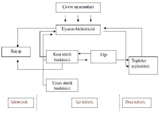 Şekil 2. 2Algılama Modeli 1 (Baysal &amp;Tekarslan, 2004, s. 51)
