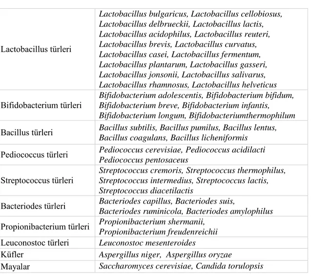 Çizelge 2.1. Probiyotiklerin sınıflandırılması (Başoğlu 2014, Yaşar ve Kurdaş 2009). 