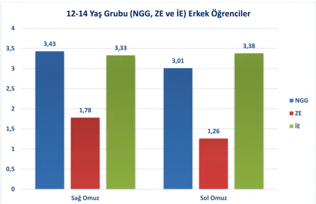 Şekil 4.7. 12-14 yaş grubu NGG, ZE ve İE erkek öğrencilerin Esneklik Parametrelerinin  karşılaştırmalı anlamlı değerlerinin aritmetik ortalaması 