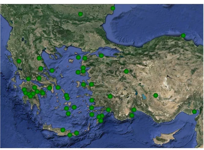 Fig. 5. Athena Polias Kültünün Doğu Akdeniz’deki Yayılımı 